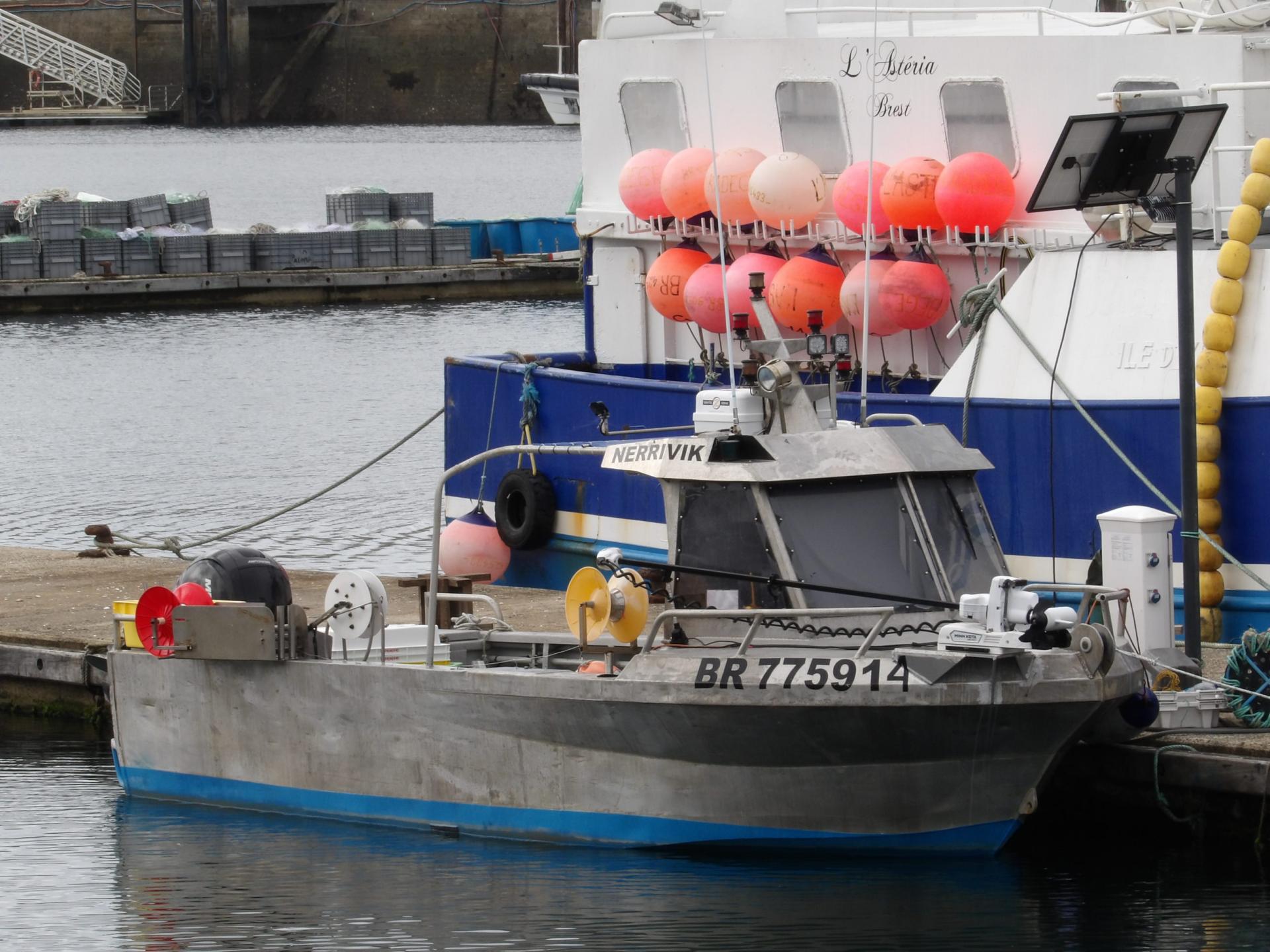 260915 nerrivik br e